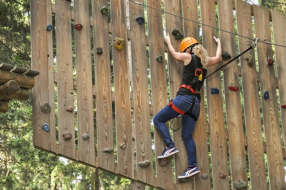 Ultimate Fall Arrest System Guide: Your Lifeline for Safe Climbing Adventures