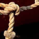 Fall Arrest Device Buying Guide: 7 Essential Tips to Avoid Deadly Mistakes