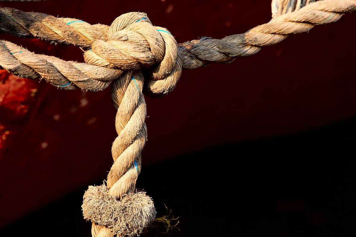Fall Arrest Device Buying Guide: 7 Essential Tips to Avoid Deadly Mistakes